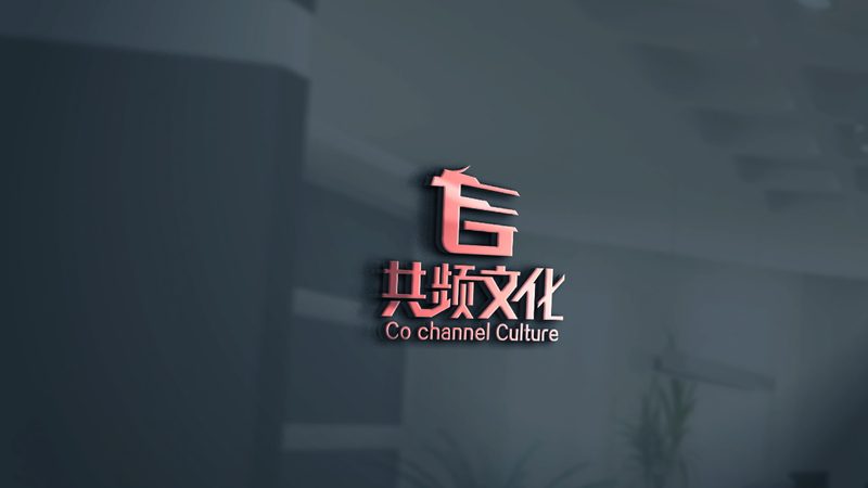 服装直播代运营公司注册条件