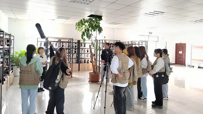 MG动画与三维动画：学习难度大揭秘
